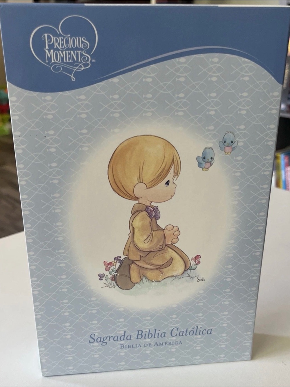 Precious Moments Illustrated Catholic Bible in Light Blue